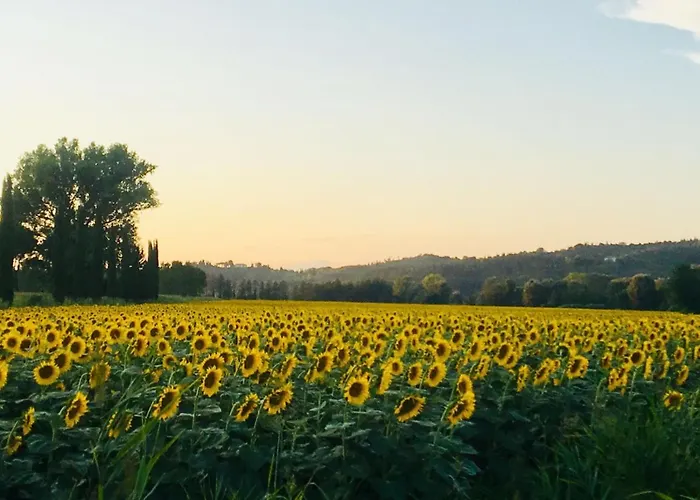 게스트하우스 Ledonia *