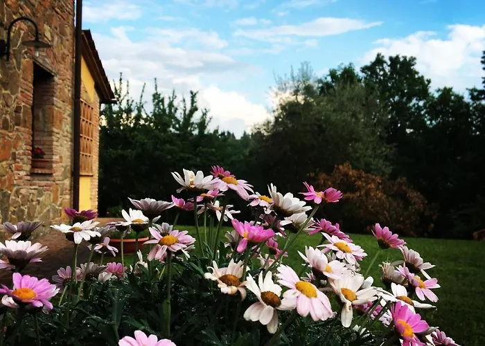 게스트하우스 Ledonia 몬타이오네