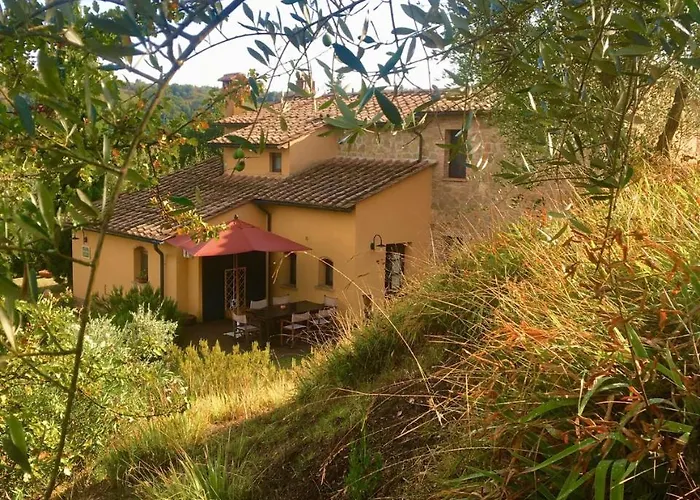 Ledonia * 몬타이오네