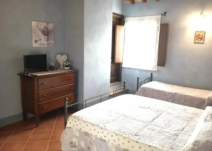 Ledonia 게스트하우스