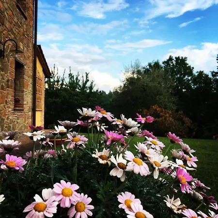 Guest house Ledonia Montaione